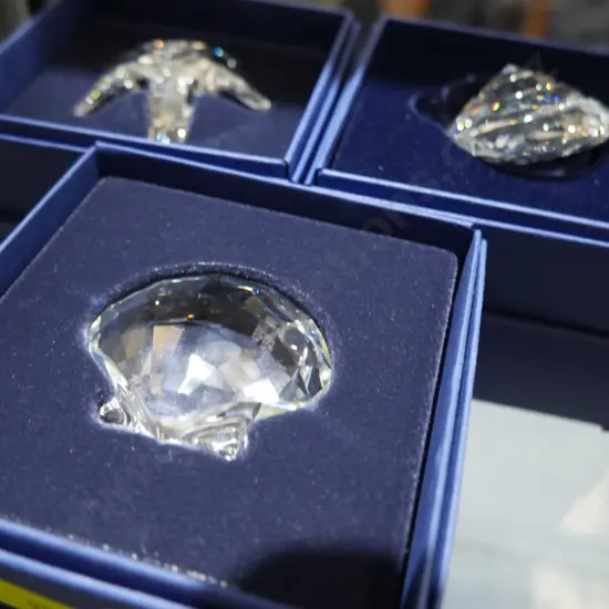 3 Swarovski Crystal shells, starfish in original case