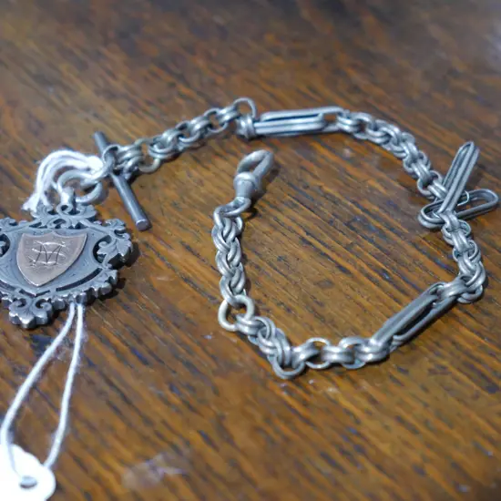 Sterling silver chain & gold/silver medallion