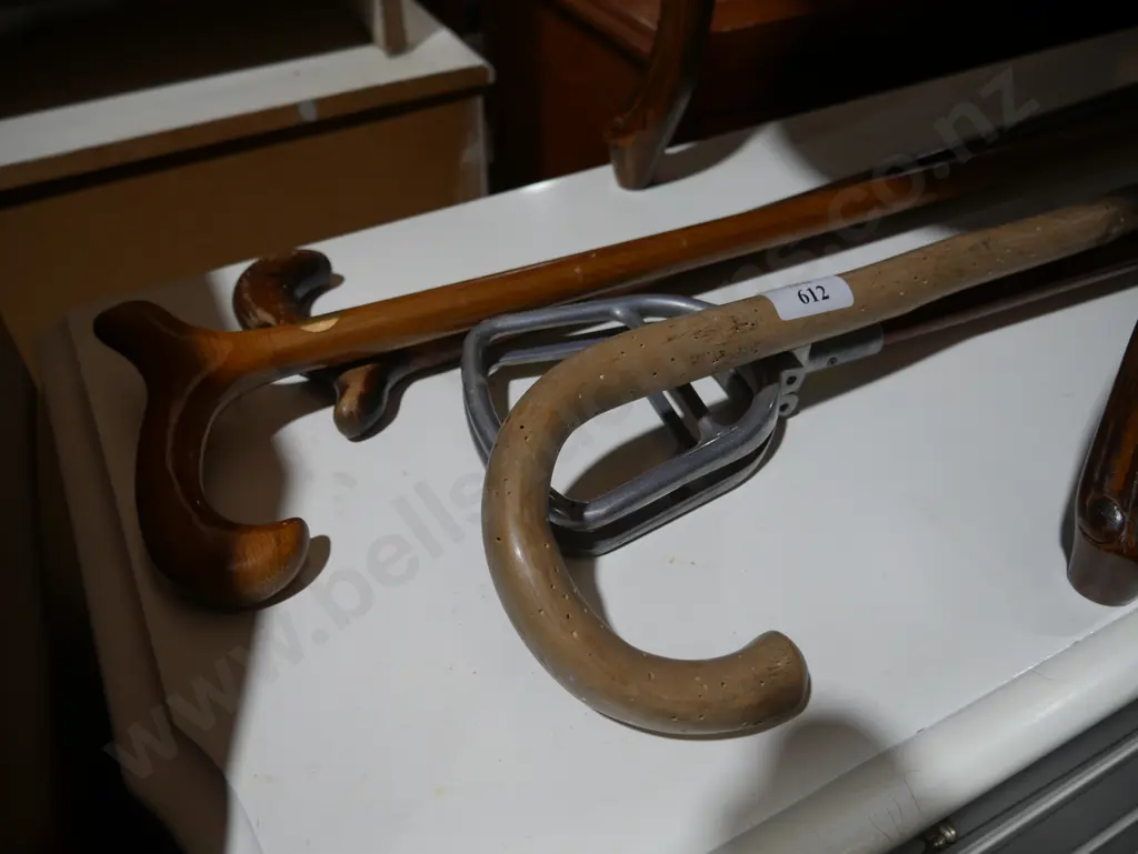 Walking sticks Image 1++