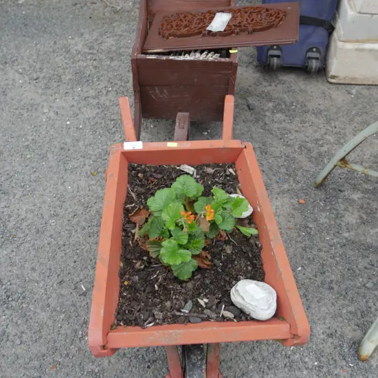 Wheelbarrow plant pots etc
