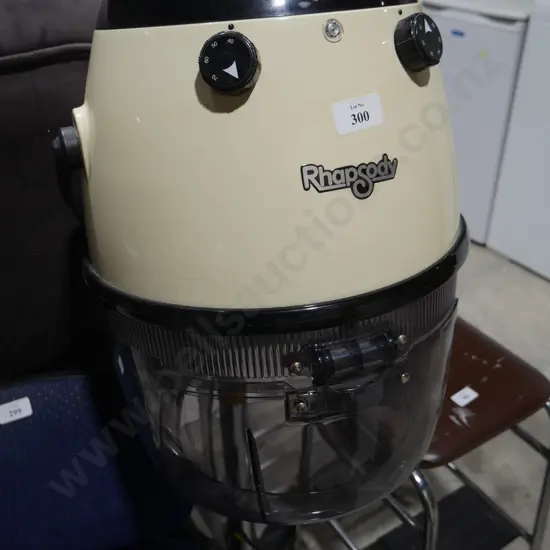 Rhapsody salon pedestal hair dryer