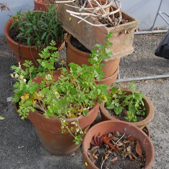 Garden pots