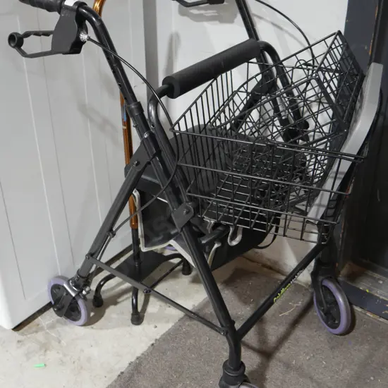 Walker and walking stick