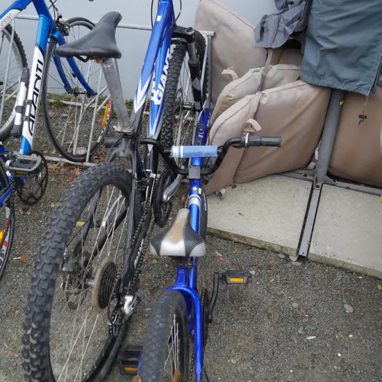 Mountain bike and half wheeler