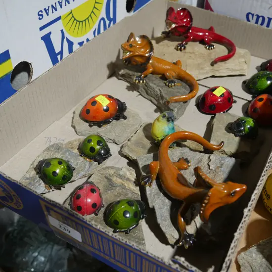 Glass insects on rocks