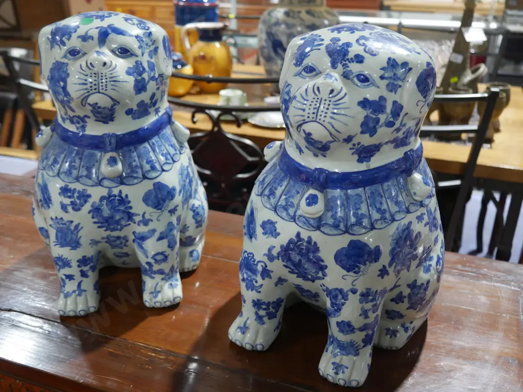 2 blue n white cats Image 1++