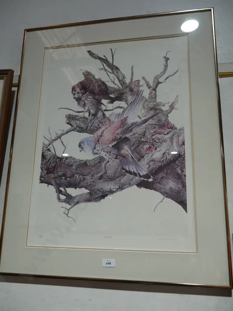 Print 482\850 kestrels Image 1++