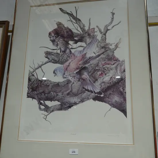 Print 482\850 kestrels