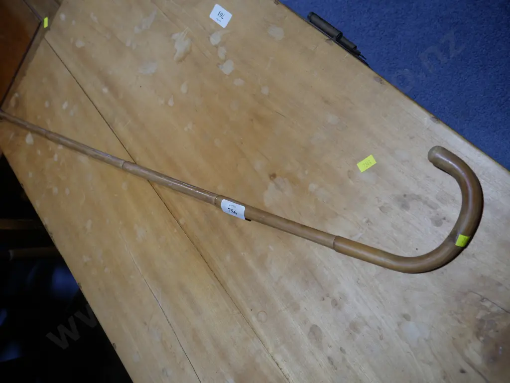 Walking stick Image 1++