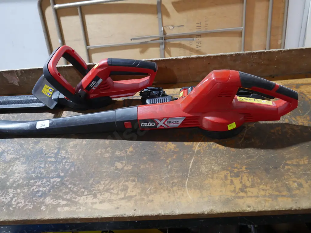 Ozito battery blower and hedge trimmer Image 1++