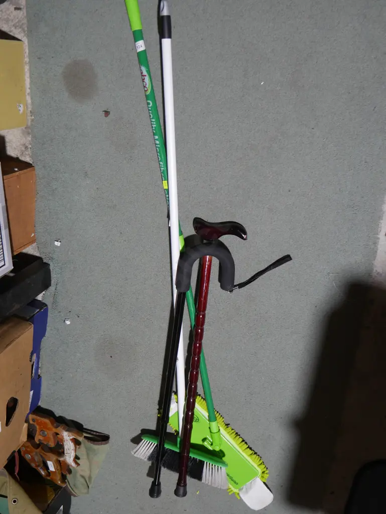 Walking sticks, broom etc Image 1++