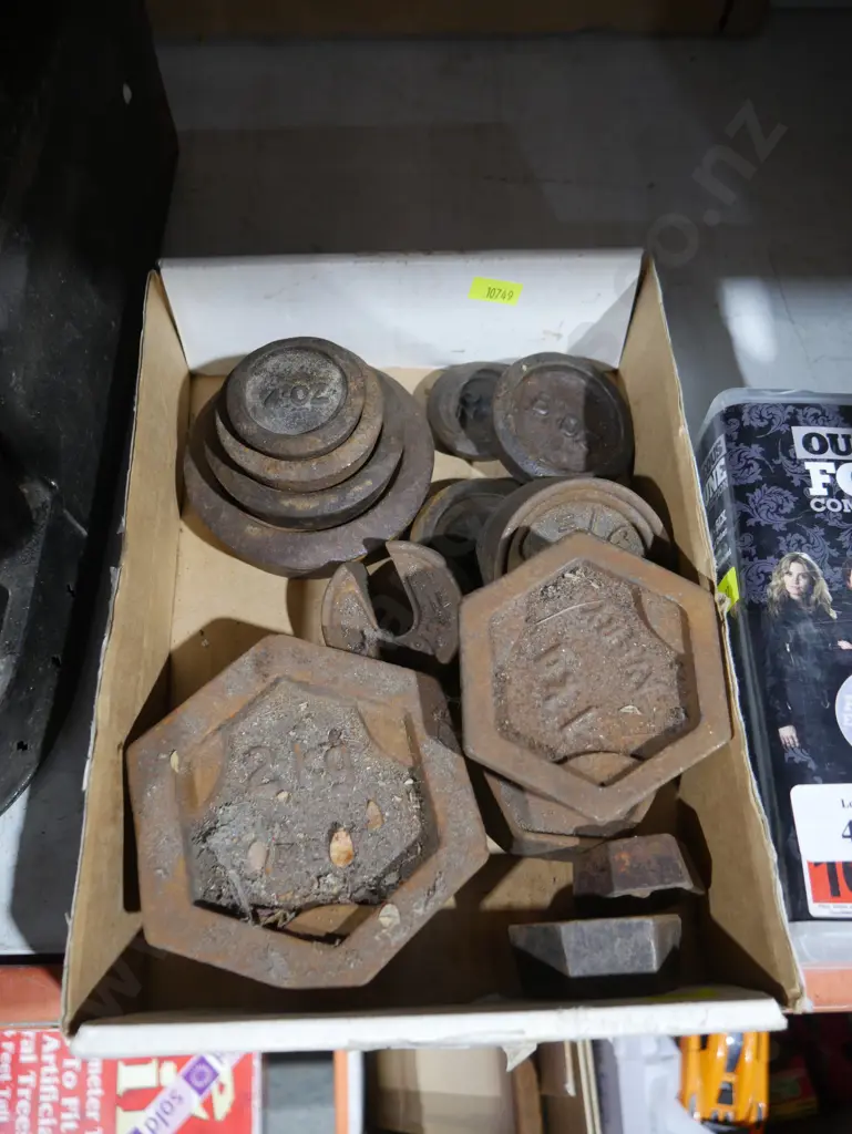 Scale weights Image 1++