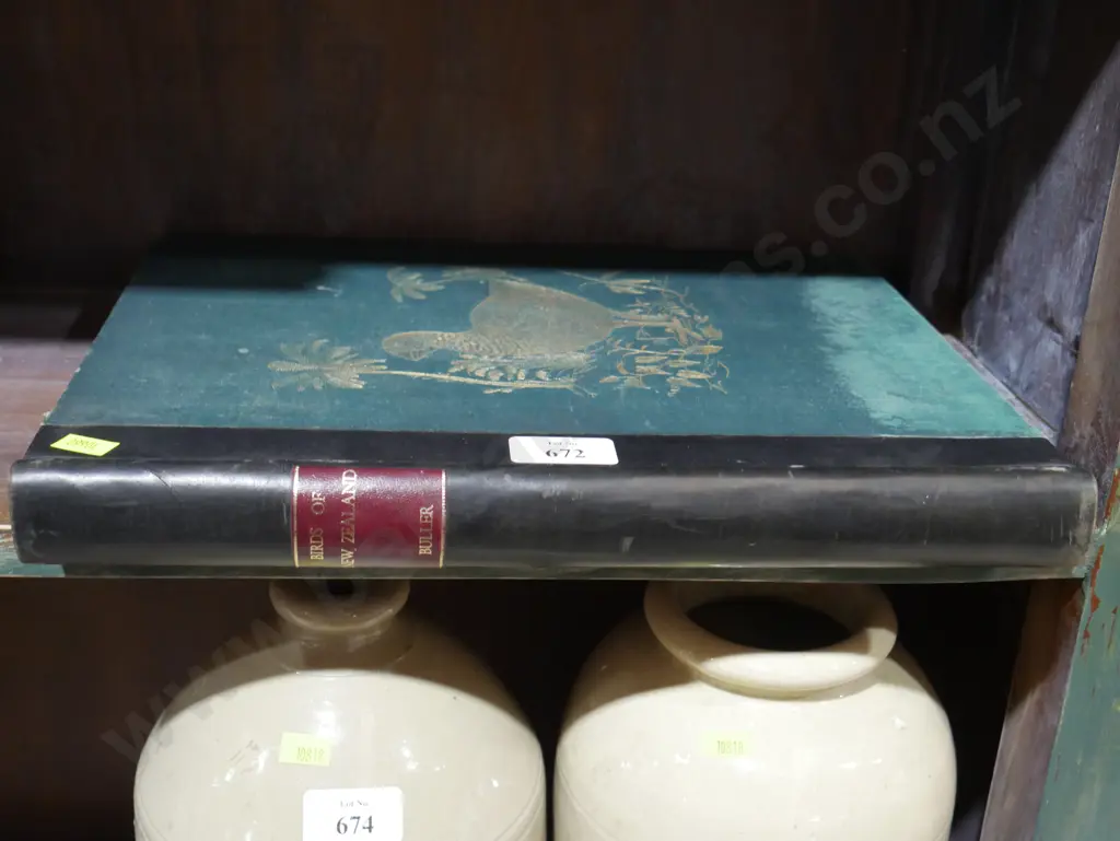 Buller birds of New Zealand, Buller Image 1++