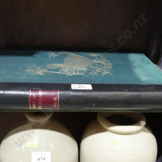 Buller birds of New Zealand, Buller