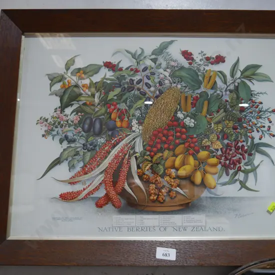 Framed native berries of New Zealand print