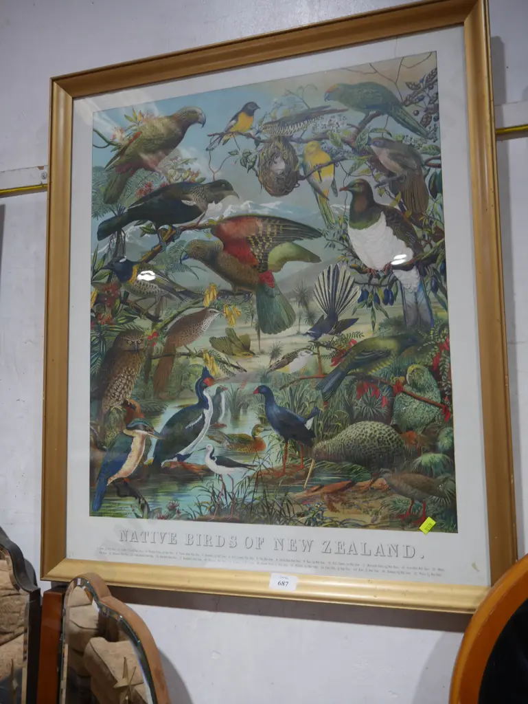 Framed native birds of New Zealand print Image 1++