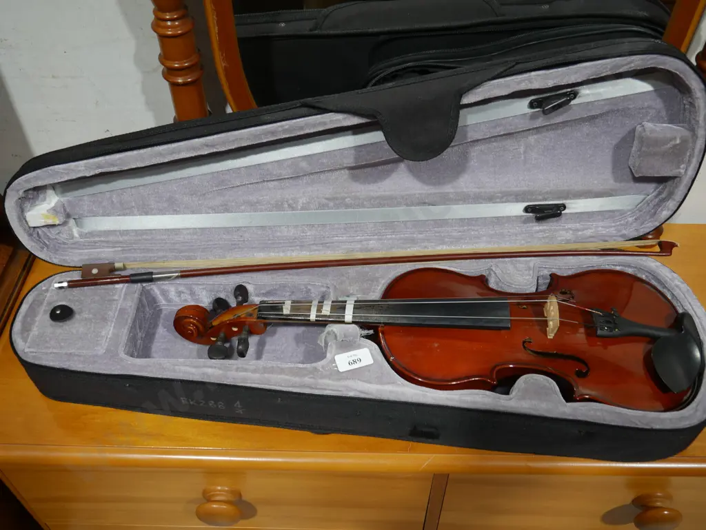 Cased violin Image 1++