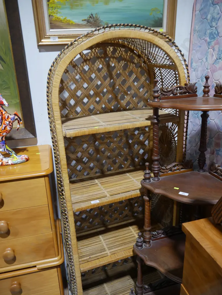 Cane shelf unit Image 1++