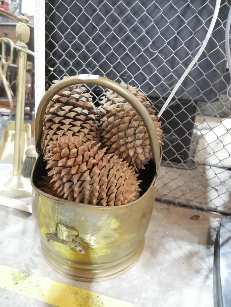 Brass coal helmet and pine cones Image 1++