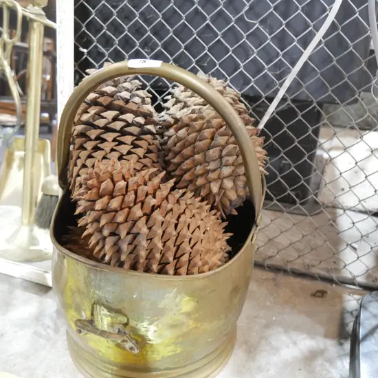Brass coal helmet and pine cones