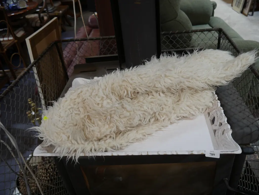 Floor rug and white wooden tray Image 1++