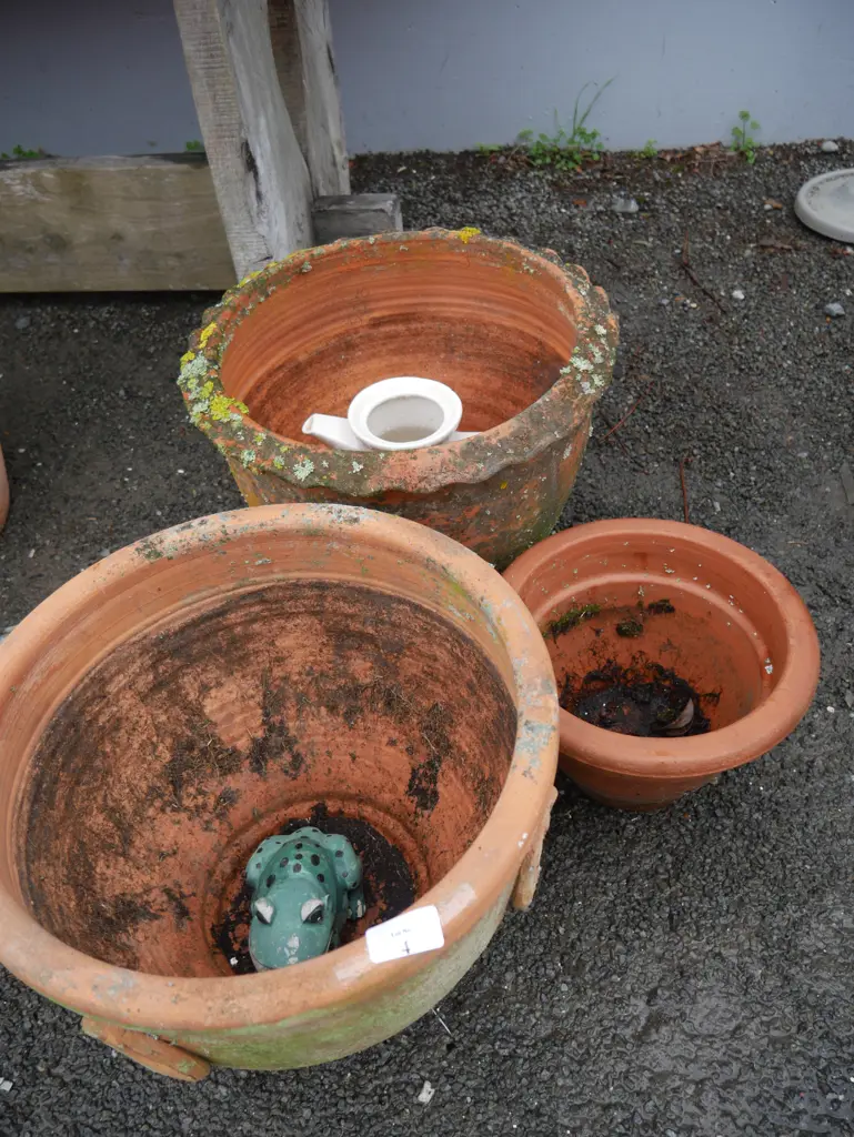3 terracotta plant pots etc Image 1++
