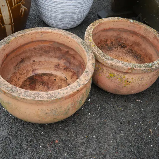 2 plant pots
