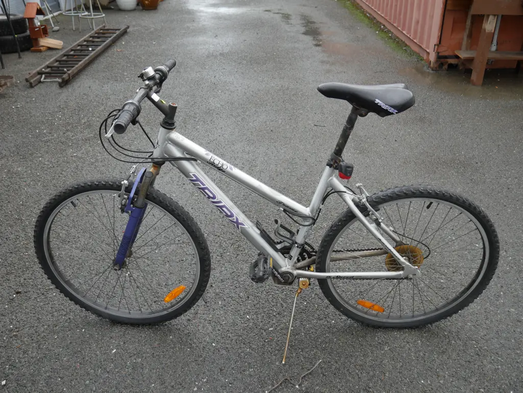 Triax ladies bike Image 1++