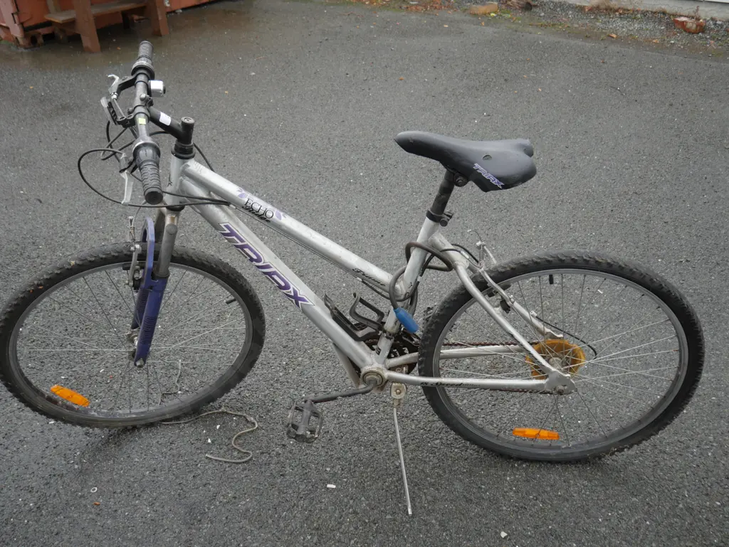 Triax ladies bike Image 1++