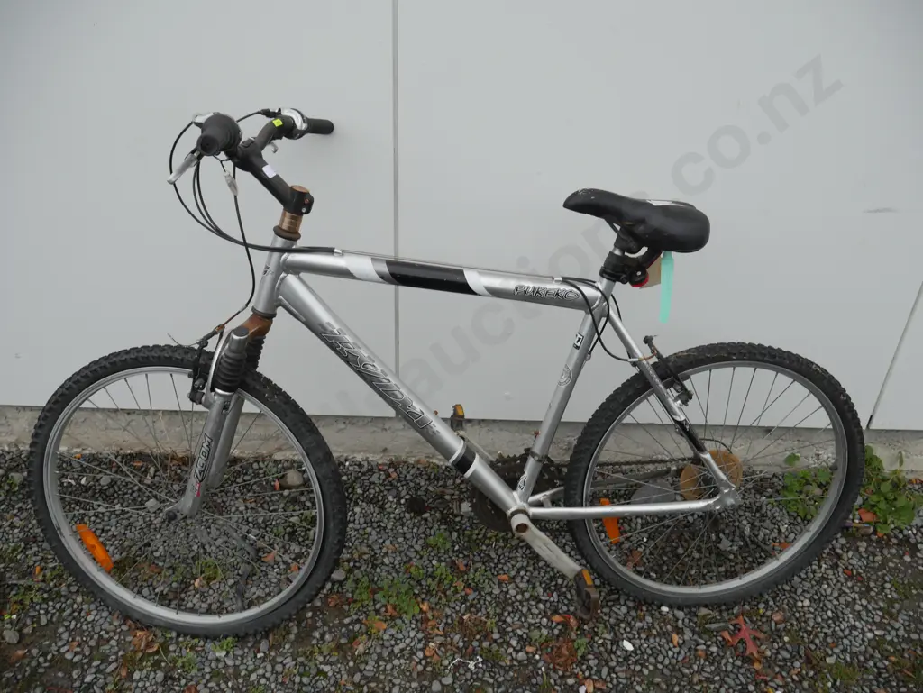 Ryda mens bike Image 1++