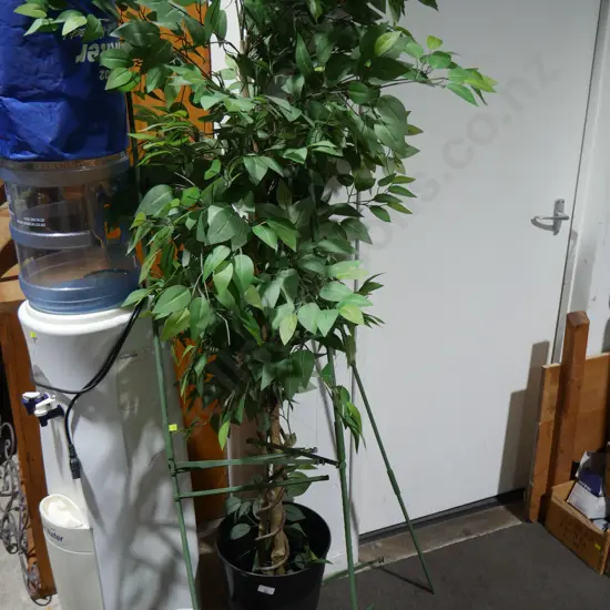 Artificial plant and plastic garden trellis