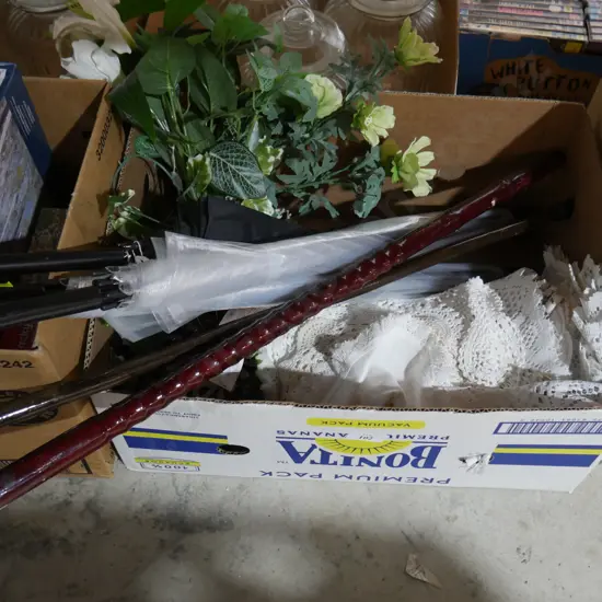 Umbrella, walking sticks etc