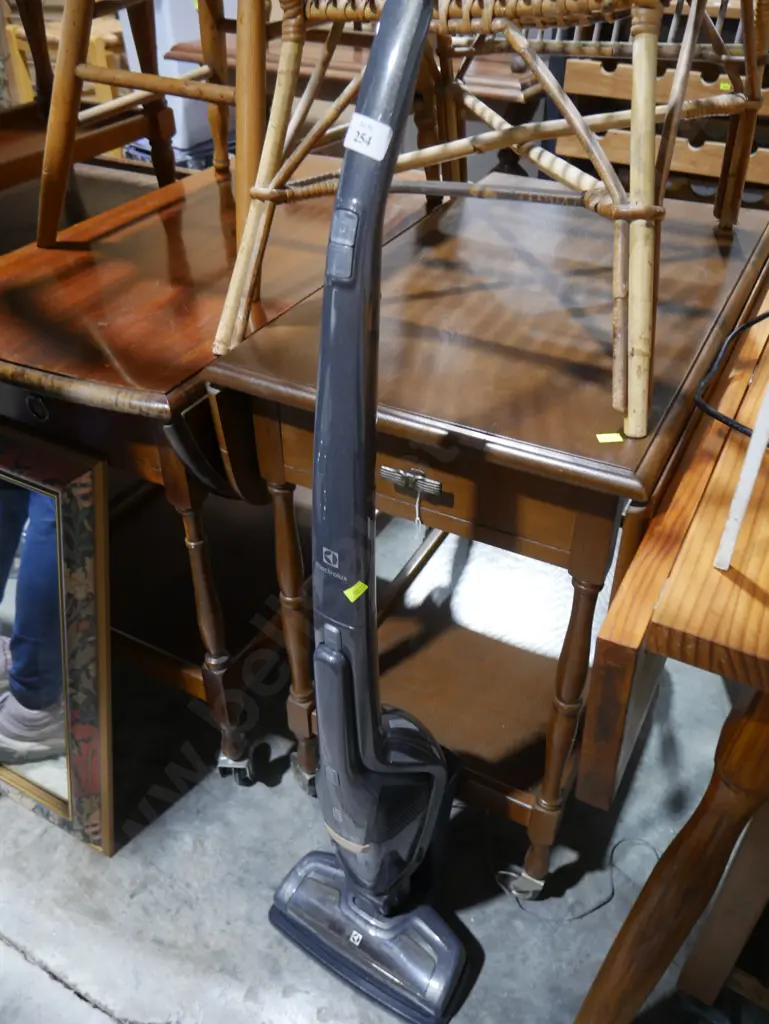 Electrolux stick vacuum Image 1++