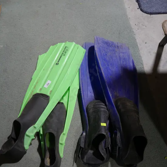 Two pair of flippers