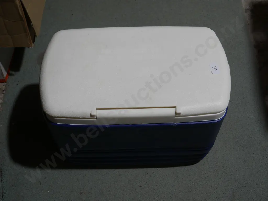 Chilly bin Image 1++