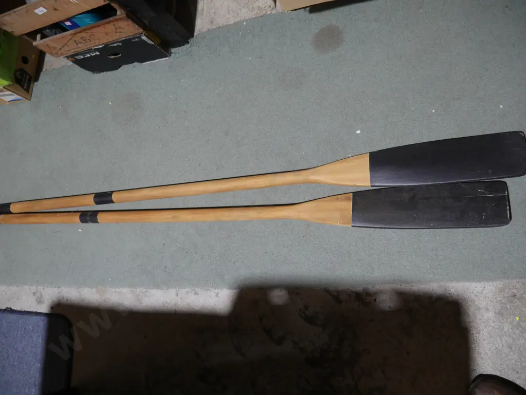 Pair of Oars Image 1++