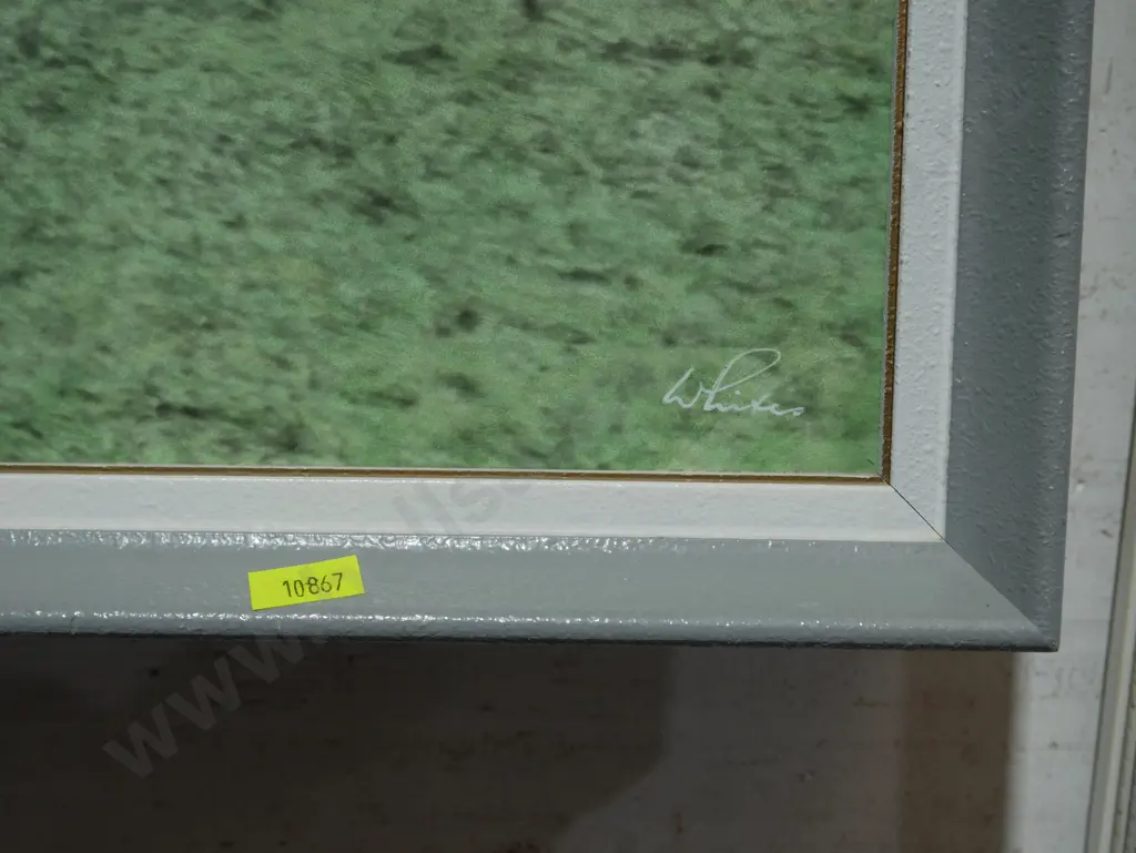 Whites aviation picture Image 1++