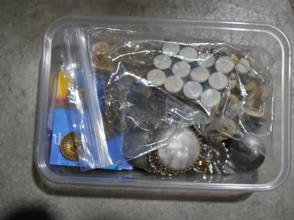 Brooches etc Image 1++