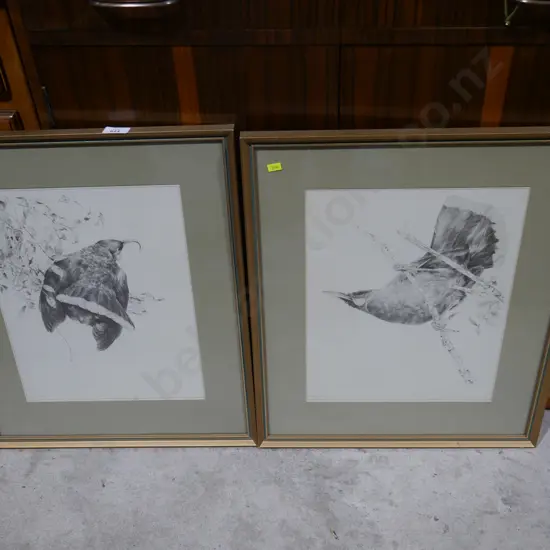 2 limited edition bird sketch prints by Raymond Harris Ching