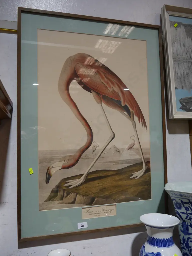 American flamingo print Image 1++