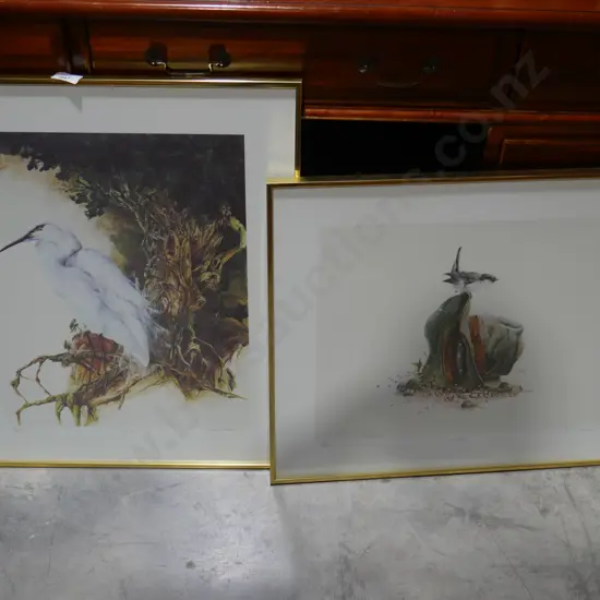 Limited edition bird prints