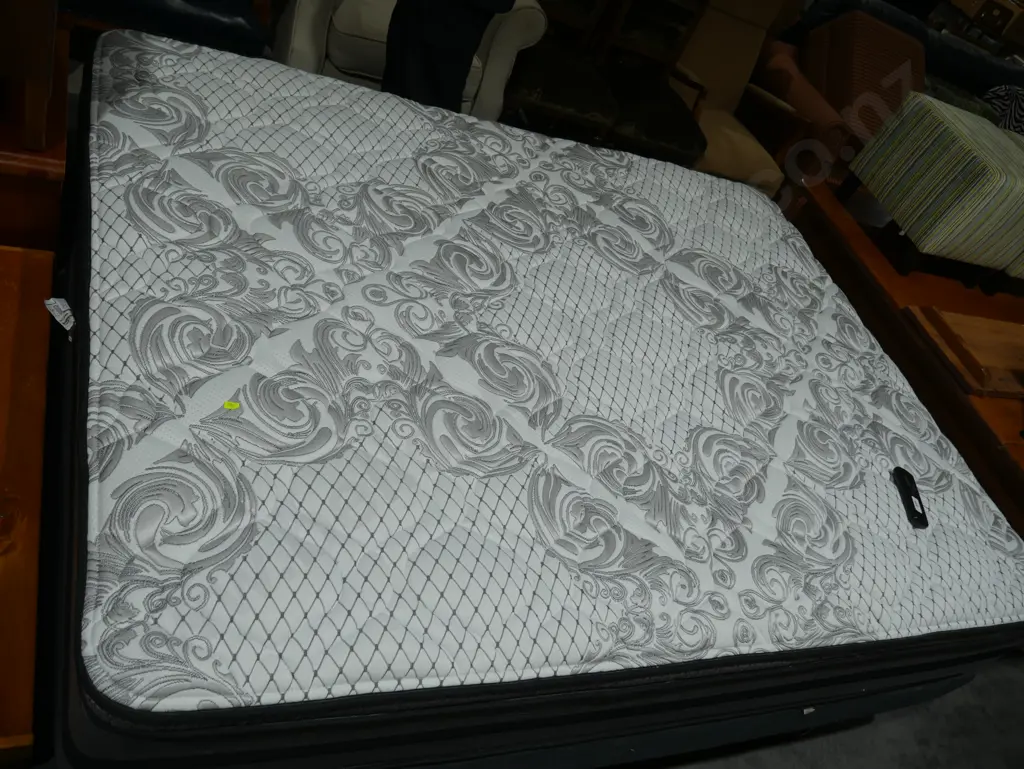 Queen electric bed Image 1++