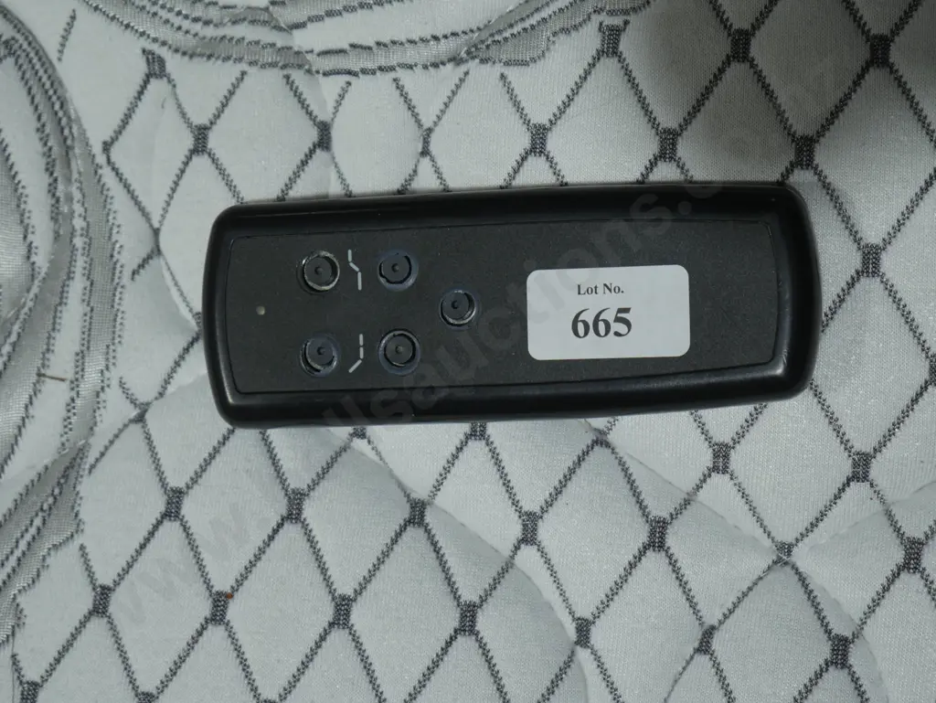 Queen electric bed Image 1++