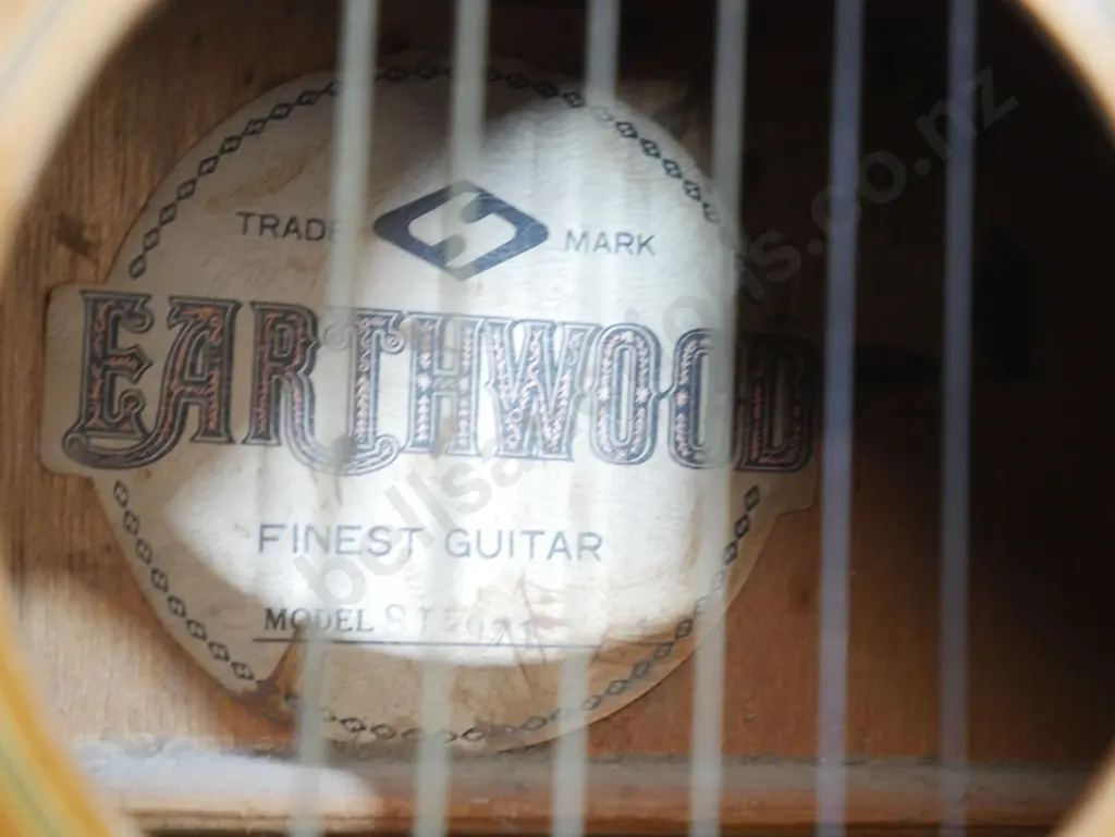 Earthwood guitar Image 1++