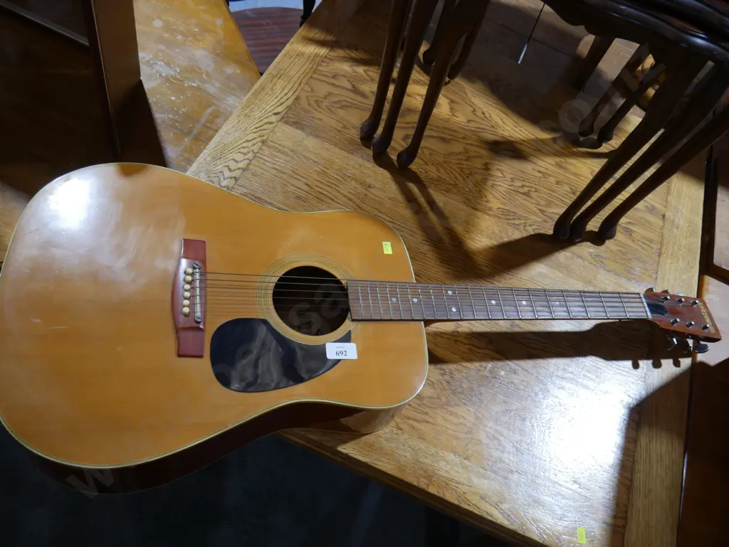 Earthwood guitar Image 1++