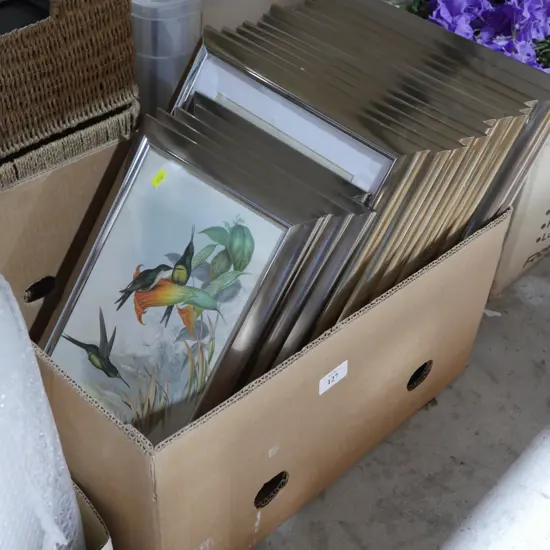 Quantity of botanical prints