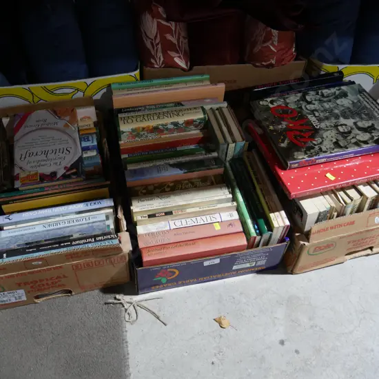 Three boxes of books