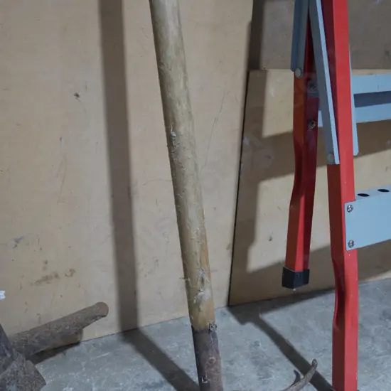 Sheep swim dip plunger