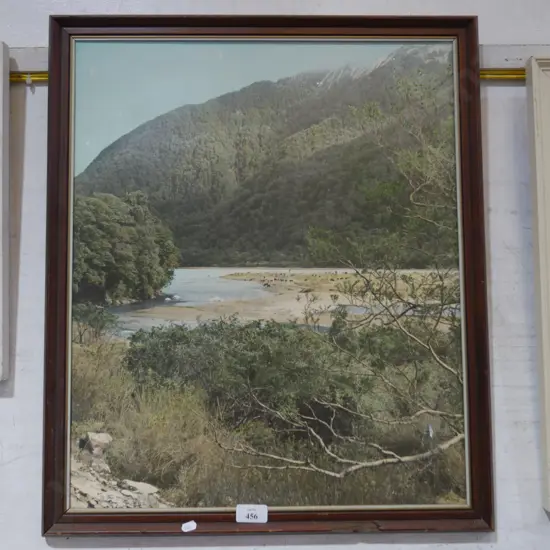 Framed picture, West Coast bush?