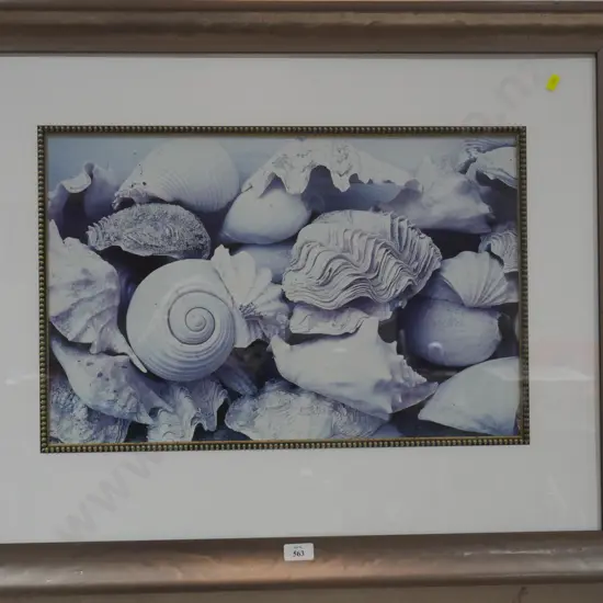 Large framed picture